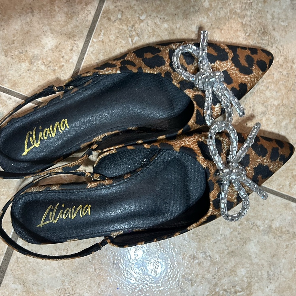 Cheetah flats